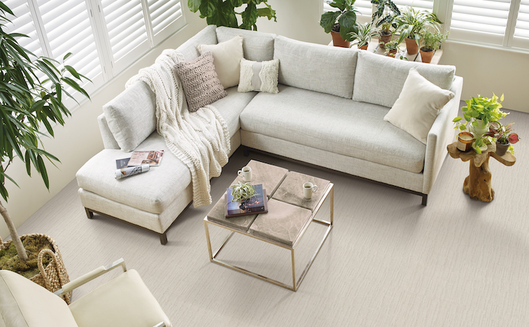 cozy carpet floors in a living room